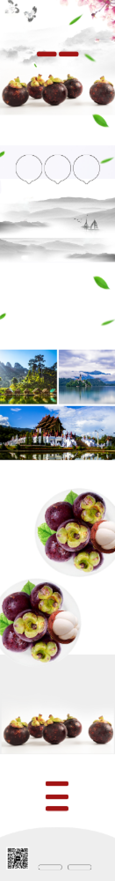 中国风当季新鲜山竹电商详情页背景