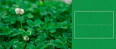 今日春分节气公众号首图背景