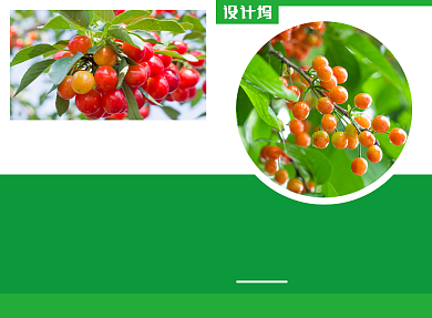 新鲜水果促销宣传广告印刷二折页背景