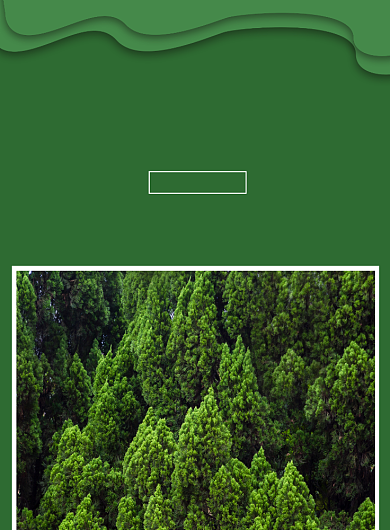 世界森林日节日环保印刷海报背景