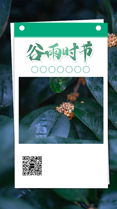 谷雨简约手机海报背景