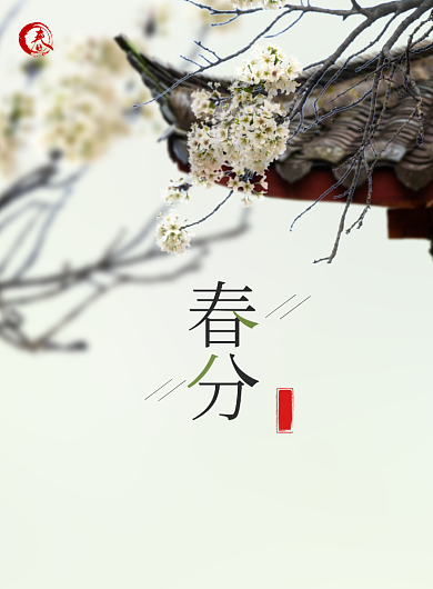 春分节气印刷海报背景
