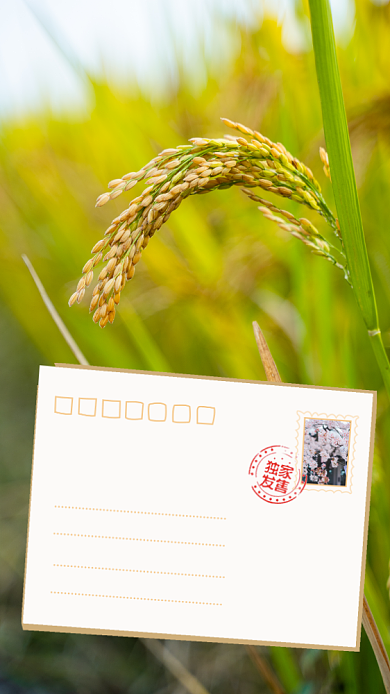 三月你好手机海报背景