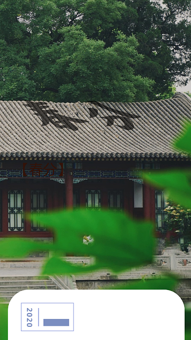 简约春分手机海报背景