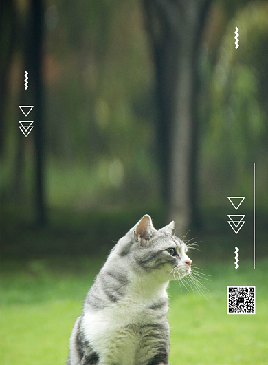 时尚简约宠物领养爱心公益宣传海报背景
