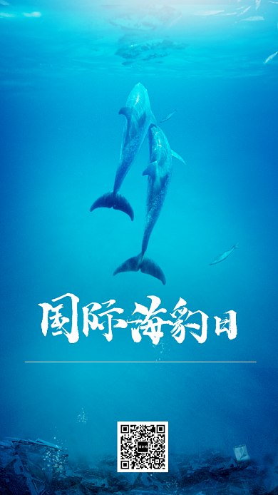 国际海豹日手机海报背景