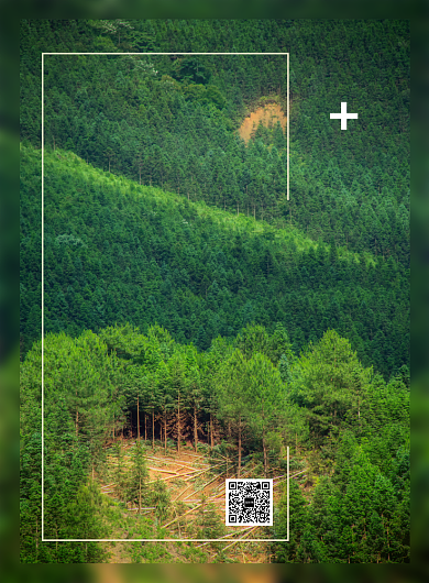 绿色简约世界森林日宣传海报背景