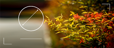 三月越努力越幸运宣传微信公众号素材图片背景