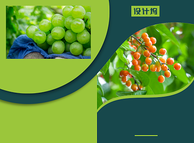 新鲜水果宣传广告印刷二折页背景