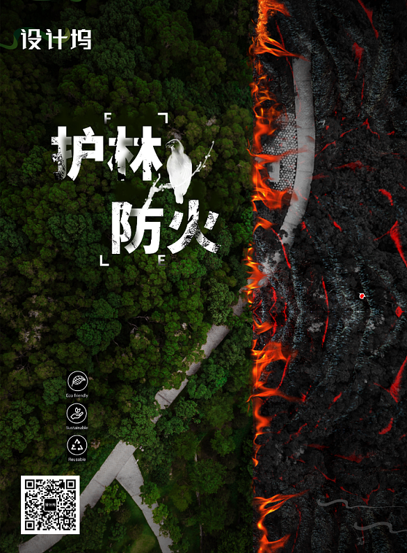 护林森林背景