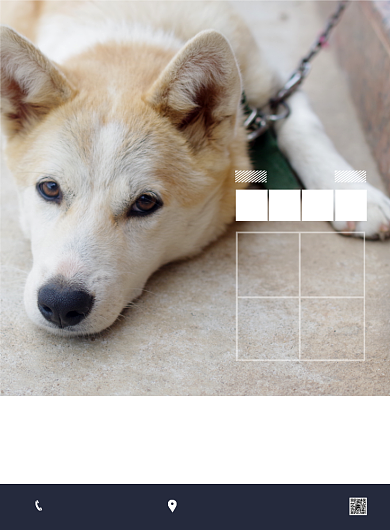 简约时尚宠物领养代替买卖公益海报背景