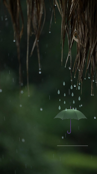 谷雨简约手机海报背景