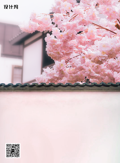 简约唯美樱花节宣传海报背景