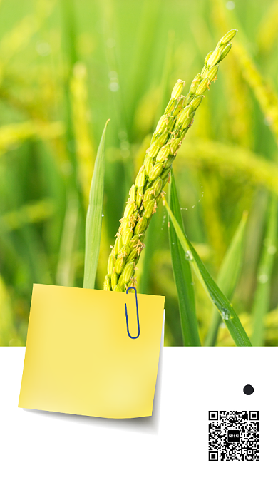 三月你好手机海报背景