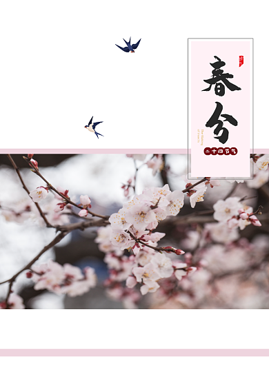 春分节气印刷海报背景