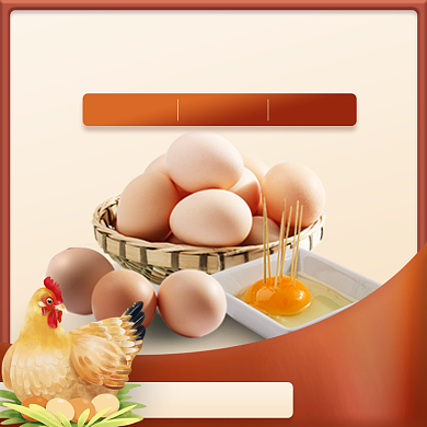农产品营养土鸡蛋直通车主图背景