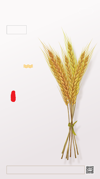 时尚简约芒种海报背景