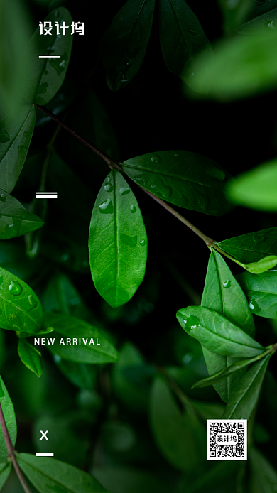 简约清新风六月你好背景