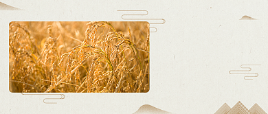 古风水墨芒种二十四节气公众号首图背景