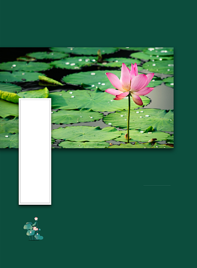 绿色大气夏至节气海报背景