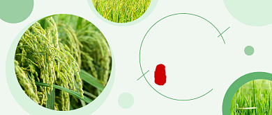 芒种节气公众号首图背景