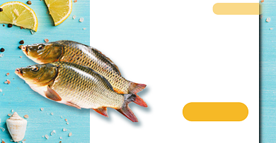 618清新简约生鲜海鱼食品电商钻展背景