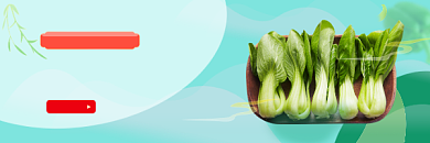 超市生鲜时蔬营销活动公众号热文链接背景