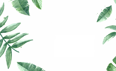 绿色叶子小清新名片背景