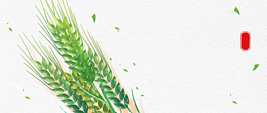 简约创意小满传统节气公众号首图背景