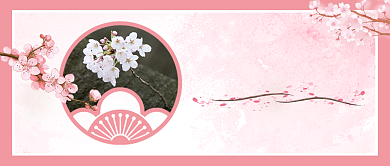 线上樱花鉴赏手绘公众号首图背景