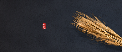 芒种传统节日高端大气水墨公众号首图背景