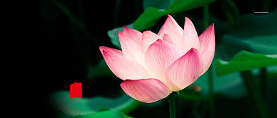 绿色中国风夏至公众号首图背景