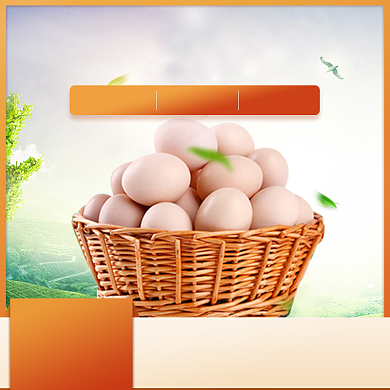 营养土鸡蛋农产品促销简约直通车背景