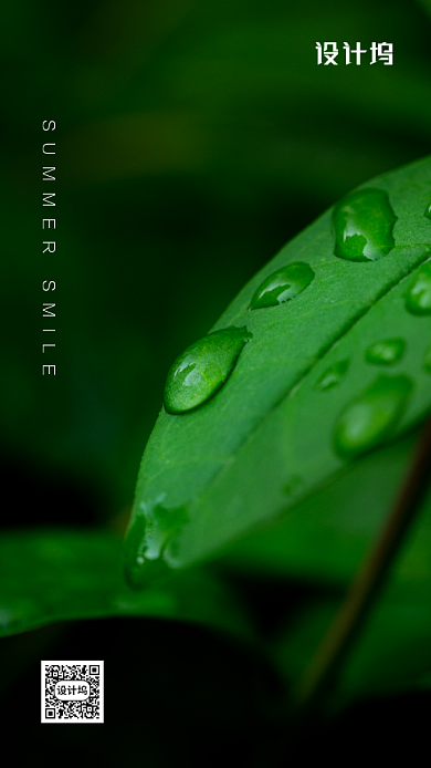 简约清新风六月你好背景