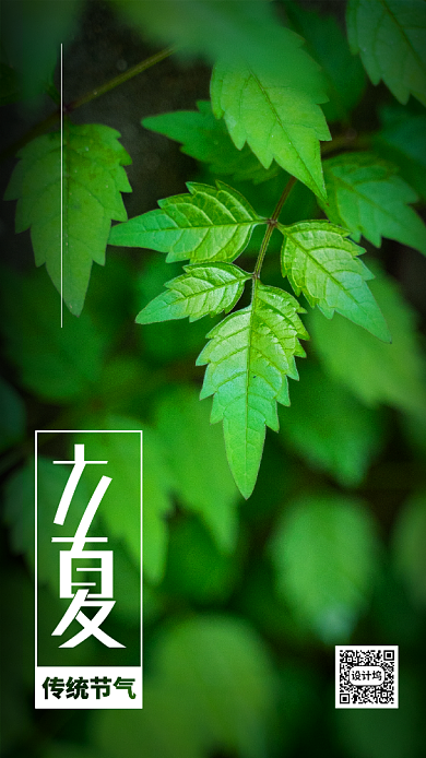 立夏节日节气手机海报背景