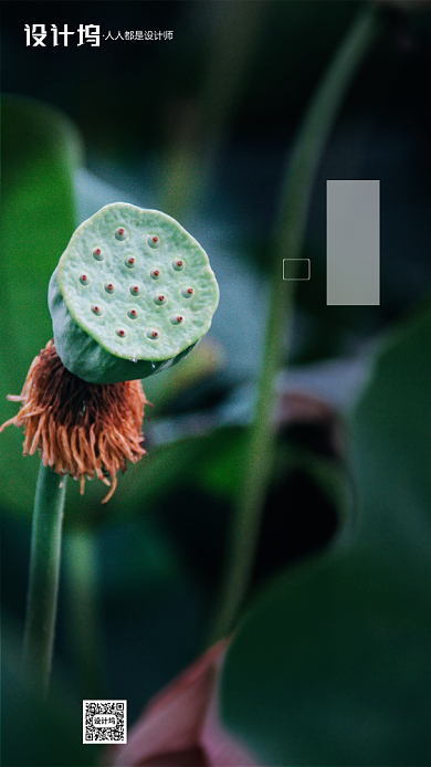 二十四节气小暑房地产手机海报背景