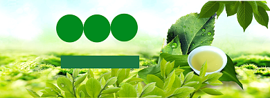 春茶上新海报banner背景