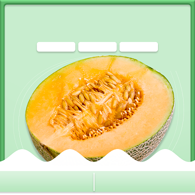 农产品新疆哈密瓜直通车主图背景