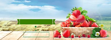 水果尝鲜鸡海报banner模板背景