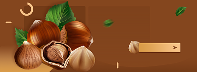 健康坚果淘宝电商banner图背景