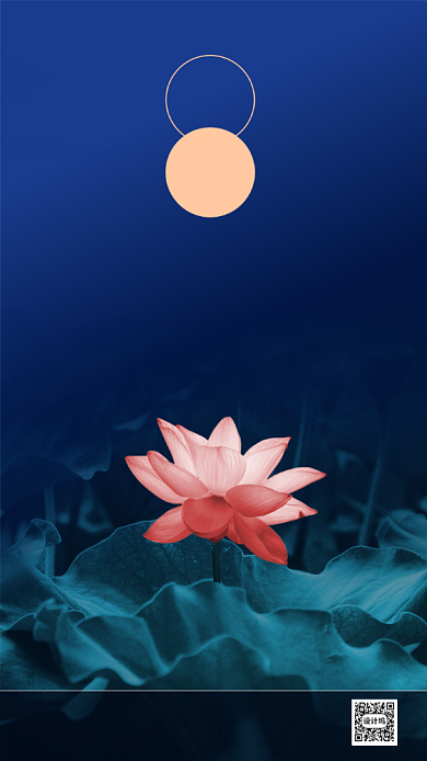 立夏节气海报荷花背景