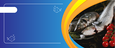 海鲜到家公众号首图背景