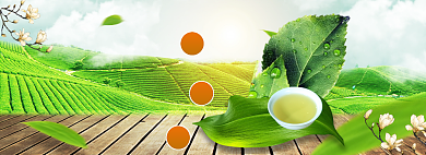 春茶上新banner模板背景