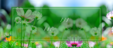 绿色小清新六月你好公众号首图背景