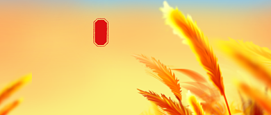 芒种传统节气公众号封面背景