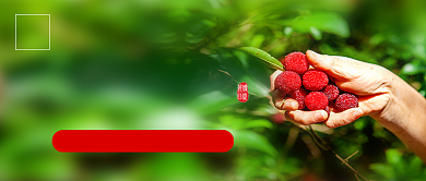 夏至节气绿色简约公众号首图背景