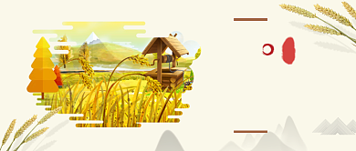 芒种传统节气清新简洁公众号首图背景