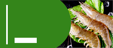 每日新鲜优惠不断生鲜促销新媒体配图背景