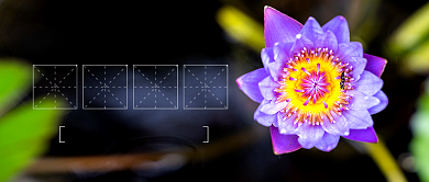 小清新芒种节气公众号首图背景