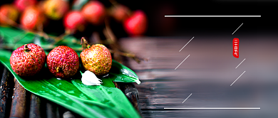 芒种二十四节气简约公众号首图背景